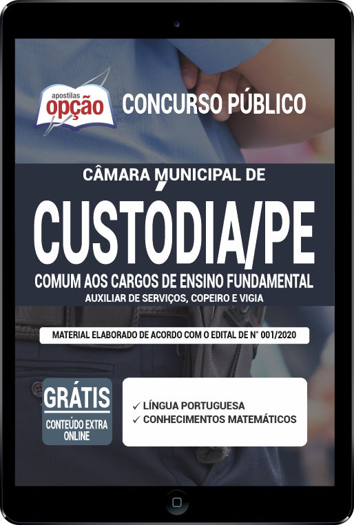 Apostila Câmara de Custódia - PE PDF - Ensino Fundamental