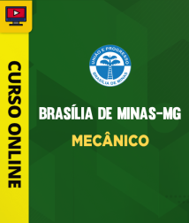 PREF-BRASILIA-MINAS-MECANICO-CUR202401987