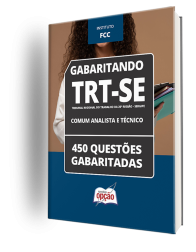 OP-089ST-24-CADERNO-TRT-SE-COMUM-ANALI-TEC-IMP