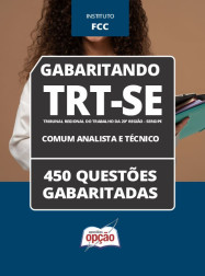 OP-089ST-24-CADERNO-TRT-SE-COMUM-ANALI-TEC-DIGITAL